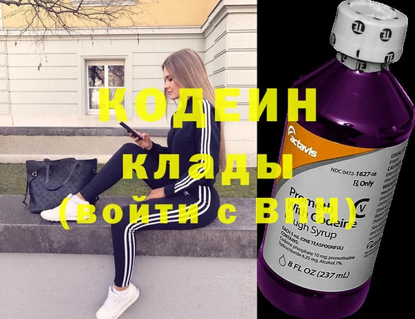 индика Алексин