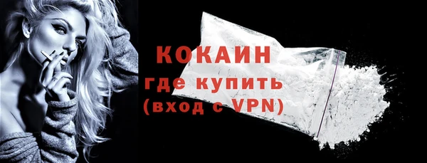 индика Алексин