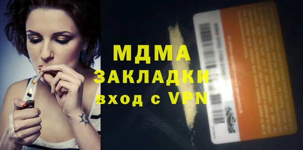 индика Алексин