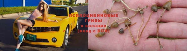 индика Алексин