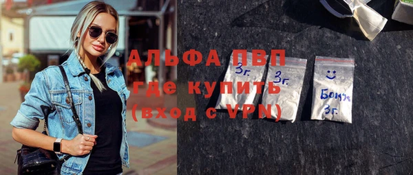 индика Алексин