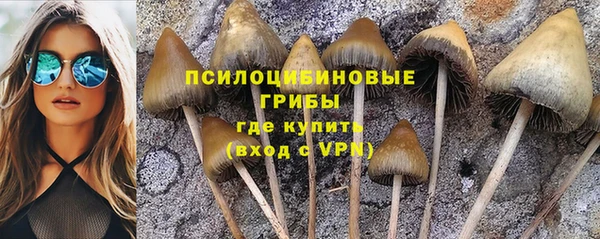 мескалин Алзамай