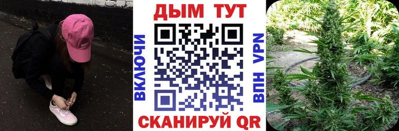 Конопля планчик omg сайт Пущино